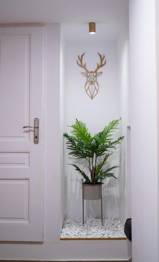 Coban Residence - A3 - Scandinavian Apartment Brașov Exterior foto